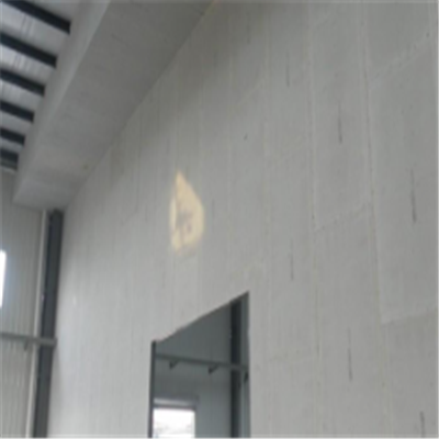 翠屏宁波ALC板|EPS加气板隔墙与混凝土整浇联接的实验研讨